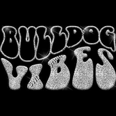 GLT98 SILVER GLITTER Thumbnail